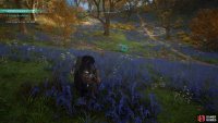 You will find a boar roaming in the fields in front of the house.