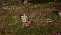 Be sure to confirm the kill once The Blaze is defeated.