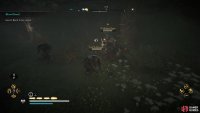 Protect Barid and defeat the bandits on the way back to the hall.