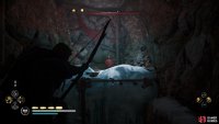 Shoot the fire pot to destroy the blockade and enter the next chamber.