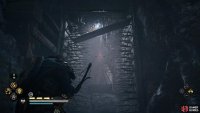 Shoot the cargo and then take the object through.