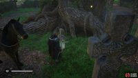 The treasure is located beneath the oldest tree at Cicestre Abbey.