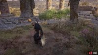 Watch out for the boars as you grab the treasure.