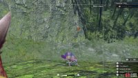Take a picture of a Rock Lizard to complete the quest.