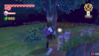 7: Behind the tree in the pumpkin field to the east.