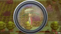 Use the binoculars before entering the safari game to search for interesting Pok&eacute;mon.