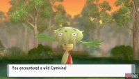 There&rsquo;s a 10% chance to find the random Pok&eacute;mon.