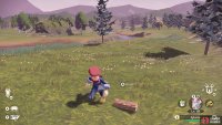 A piece of wood at Deertrack Path, near a Buizel spawn.
