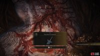 and you&rsquo;ll obtain the Dark Moon Greatsword and trigger the ending condition.