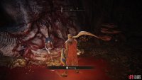 place the Dark Moon Ring on Ranni