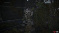 the headpiece can be found by scaling the thin wall to the side of Seluvis&rsquo;s Rise.