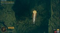 and swim through the cave whilst avoiding the Jellyfishes