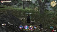 the second feeding ground can be found at X: 32.0, Y: 11.3