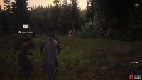 Head to Lostwing and follow the forest path.