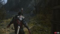 Head up the blight stricken path towards Phoenix Gate.