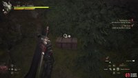 Search near some foliage southeast of the Unnamed Chapel to find a chest.