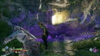 The final enemy will be by a poison totem