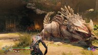 The drake will close in to try and bite you
