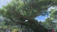 The Kinglor Nesting Tree is pretty large and easy to find.