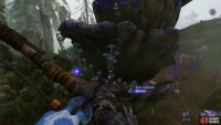 This is how you are able to harvest the Radar Mushroom.