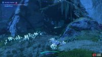 look for this opening among the rocks