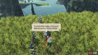 Visit the Nopon to make it rain