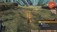 Follow its tracks to where it dwells