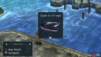 Eel,