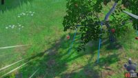 There&rsquo;s plenty of Applin in this area. They&rsquo;re walking in the tall grass and can also fall out of trees like this one.