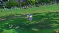 Applin can easily be caught with a Quick Ball, so the pressure is off!