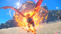 Talonflame in Scarlet & Violet (Credit: The Pok&eacute;mon Company)
