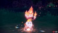 It changes Pok&eacute;mon into a jewel-like form. (Credit: The Pok&eacute;mon Company)