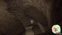 Head in and jump straight down to the bottom of the cave. However, it&rsquo;s worth exploring for the rare items and Pok&eacute;mon.
