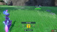 Use a Quick Ball to catch Cutiefly without battling.