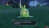 Congratulations, Swaddle evolved!
