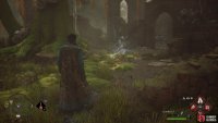 The first !Forbidden Forest Ancient Magic Hotspot