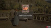 The description for the Chocolate Frogs page.