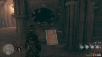 You can read the page after placing the moth in the mirror.