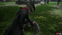 Pet the cat in the Transfiguration Courtyard, or we will find you.