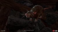 Seek out a rat outside of Gammon&rsquo;s shop and talk to it with Speak With Animals active to learn about the &ldquo;evil thing&rdquo;.