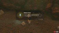Pick up the Bubbul Gem.