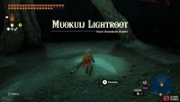 Grab the Muokuij Lightroot.