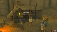 For your trouble you will get a Gold Rupee.
