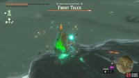 Climbing and attacking the crystal on its body.