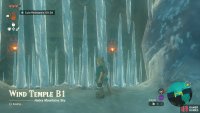 Smash the icicles with a sturdy weapon or melt them with fire.