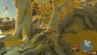 Collect logs by chopping down trees