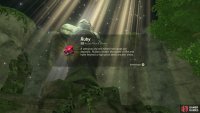 Drop the claw in the water and get a Ruby.