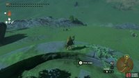 You should see a couple of Stalhorses in the field directly behind the horse statue.
