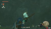 Don&rsquo;t forget to get the Bubbulfrog while visiting this cave.