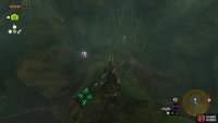 Turn around to find an opening covered with vines